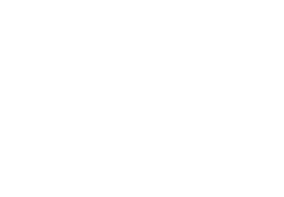 Leo Wise